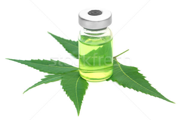 Neem leaves with vial extracted medicine Stock photo © bdspn