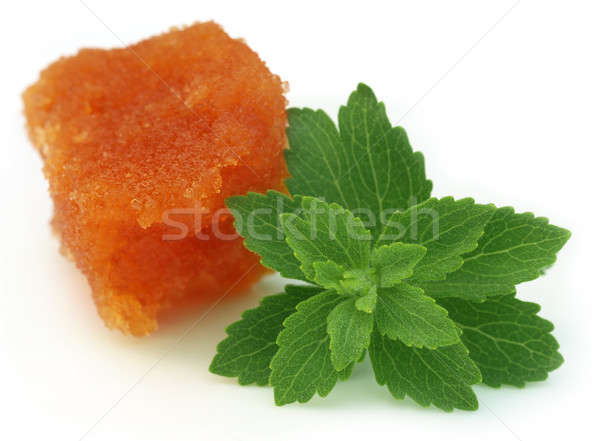 Stevia with molasses  Stock photo © bdspn