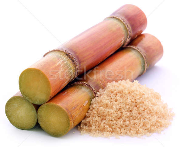 Piece of sugarcane with brown sugar Stock photo © bdspn