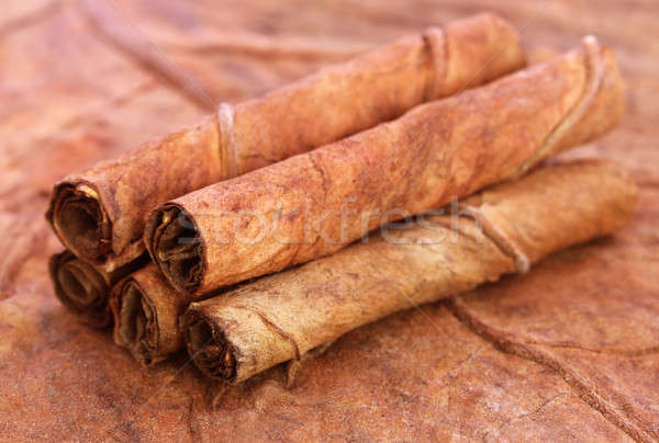 Rolled tobacco leaves Stock photo © bdspn