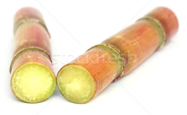 Pieces of sugarcane Stock photo © bdspn