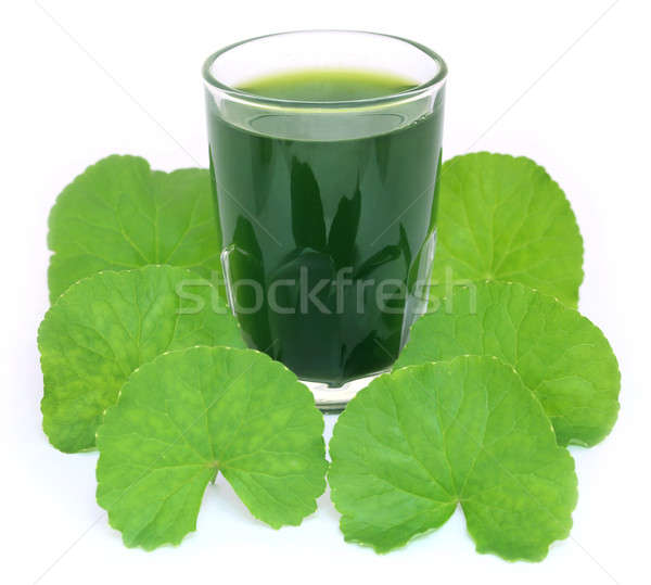 Gyógyászati levelek indiai szubkontinens étel levél üveg Stock fotó © bdspn