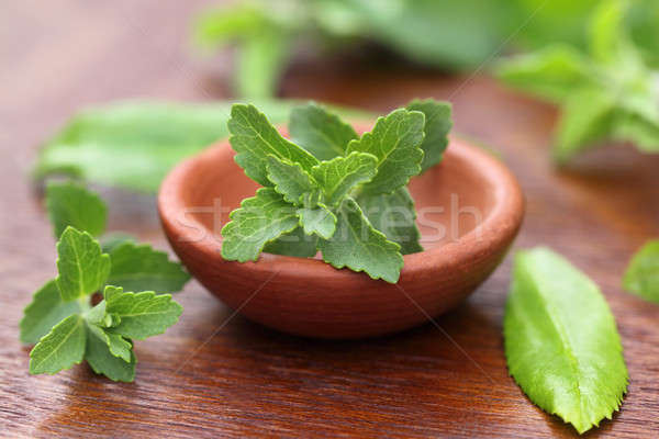 Stevia with other medicinal herbs Stock photo © bdspn