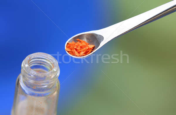 Chemical on steel spatula Stock photo © bdspn