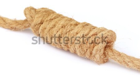 Knot on old rope Stock photo © bdspn