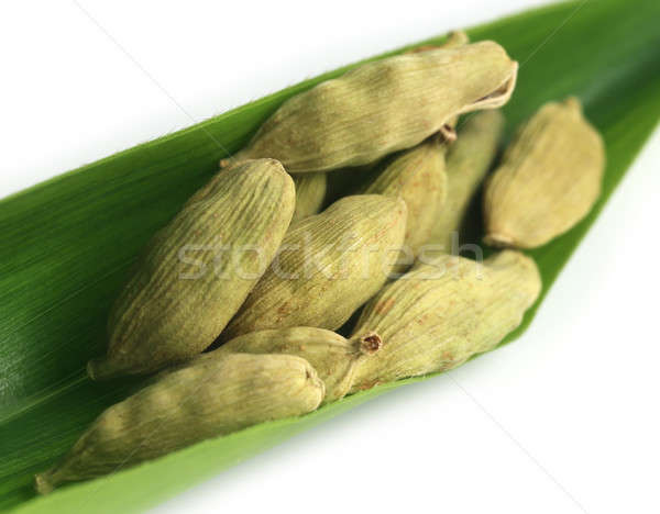 Cardamomo sementi foglia verde alimentare Spice Foto d'archivio © bdspn