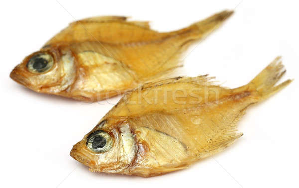 Aszalt üvegszerű hal csoport indiai makró Stock fotó © bdspn