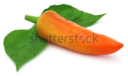 Fresh banana pepper Stock photo © bdspn