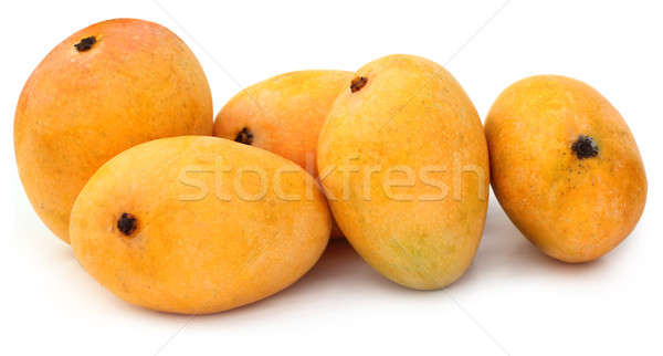 Fresh Mangoes Stock photo © bdspn