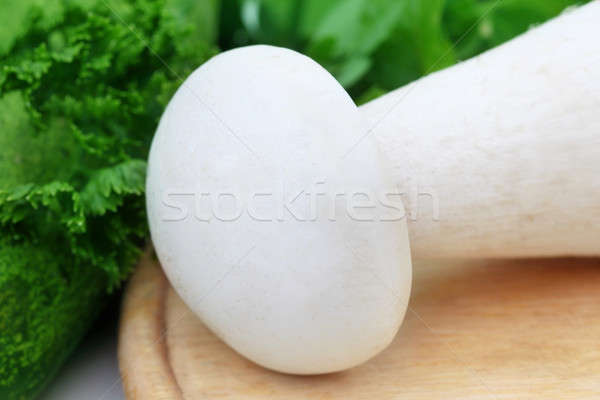 Milky mushroom with some vegetables Stock photo © bdspn