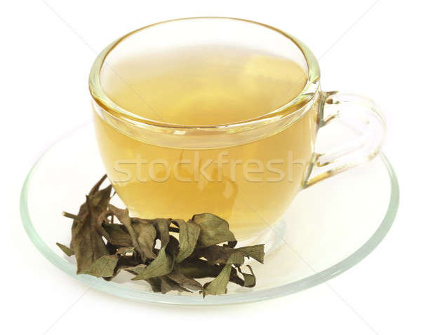 Ayurvedic medicinal Chirata with herbal tea Stock photo © bdspn