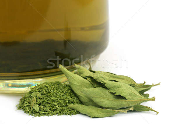 Tea with dired Stevia leaves Stock photo © bdspn