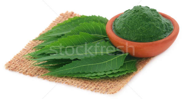 Medicinal neem leaves with ground paste Stock photo © bdspn