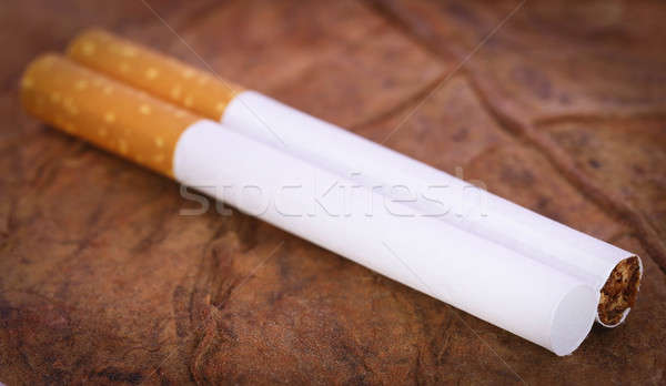 過濾 香煙 幹 煙草 葉 商業照片 © bdspn