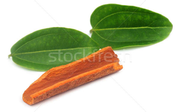 Cinnamon barks with leaves Stock photo © bdspn