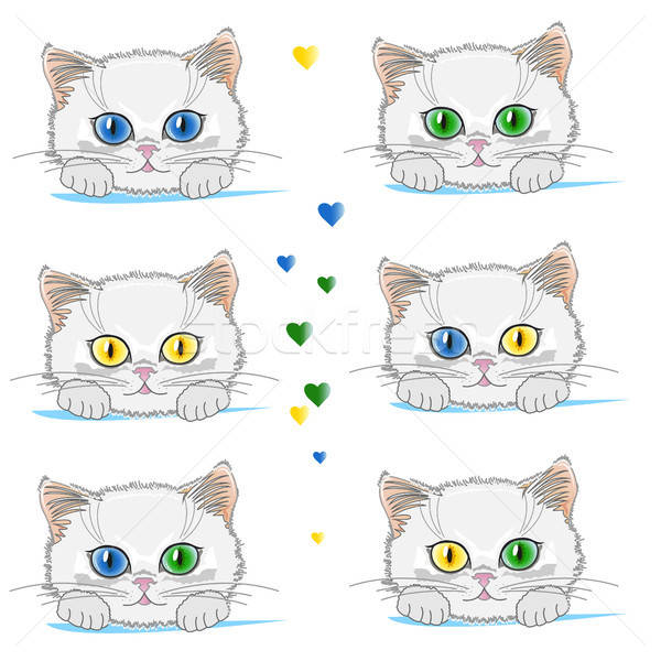 Stock photo: A set of cute kitty with bright eyes