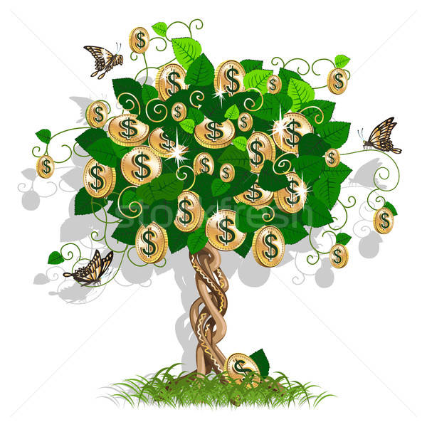 Денежное дерево бизнеса роста символ природы лист Сток-фото © bedlovskaya