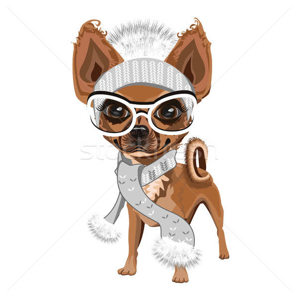 Little doggy in hat Stock photo © bedlovskaya