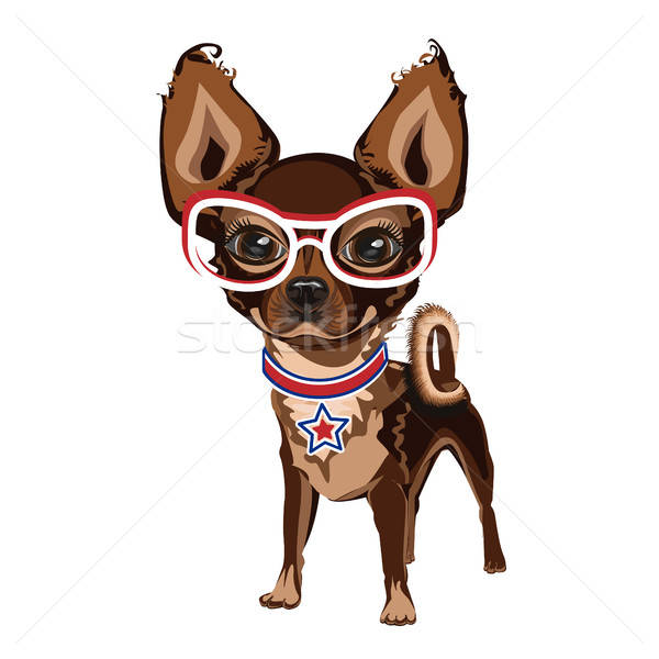 Little doggy in glasses Stock photo © bedlovskaya