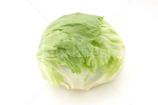 айсберг салата изолированный белый лист зеленый Сток-фото © bedo
