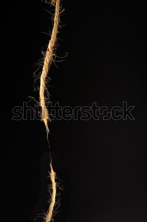 damaged rope on black Stock photo © beemanja