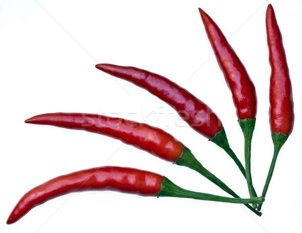 red hot chili pepper Stock photo © beemanja