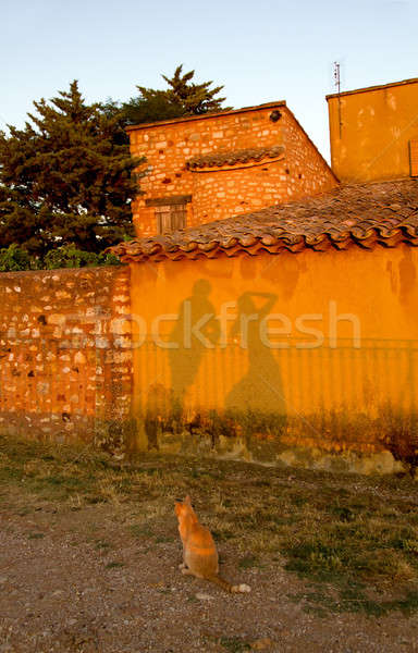 Foto stock: Gato · assistindo · povos · sombras · parede