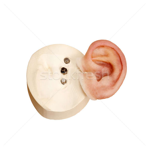 Silicone artificial human ear with magnetic locks Stock photo © belahoche