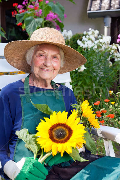 Old Woman in Gardening Outfit Holding Sunflowers Stock photo © belahoche