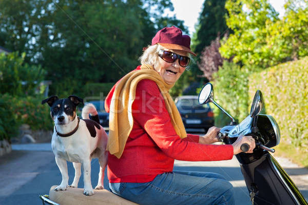 Senior vrouw hond lachend paardrijden Stockfoto © belahoche
