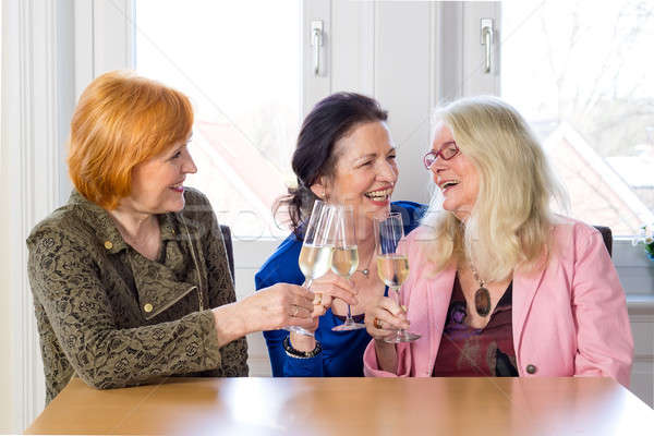 Happy Mom Friends Enjoying Glasses of Wine Stock photo © belahoche
