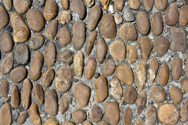 Old rounded cobblestones Stock photo © belahoche