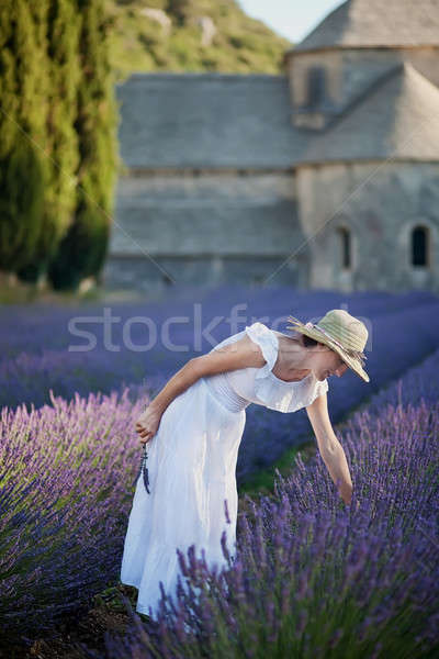 Young woman picking some lavender close to the medieval Abbey of Stock photo © belahoche