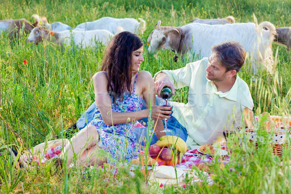 Romantic couple enjoying wine on a summer picnic Stock photo © belahoche