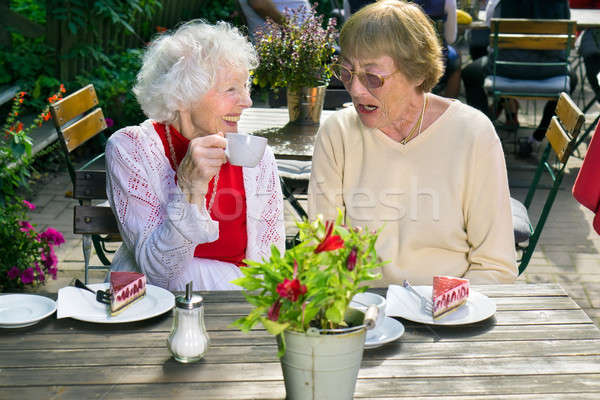 Dos ancianos femenino amigos relajante té Foto stock © belahoche