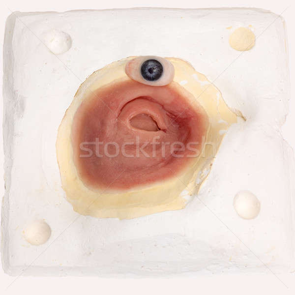 Artificial Eye and Skin on White Background Stock photo © belahoche