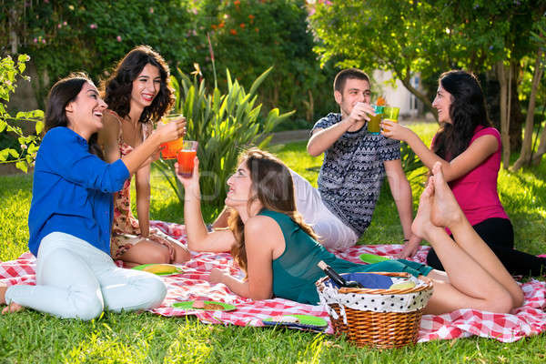 Friends toasting on a sunny day in the park Stock photo © belahoche