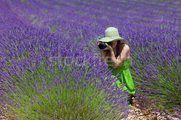 Young lady photographing in lavender field in Porvence, France.  Stock photo © belahoche