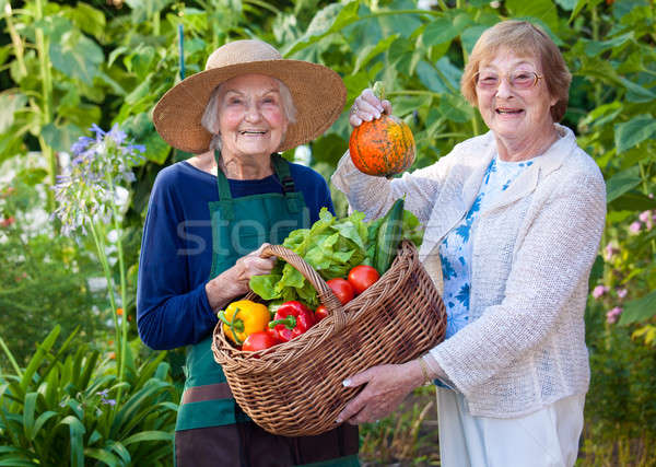 Altos mujeres granja hortalizas cesta Foto stock © belahoche