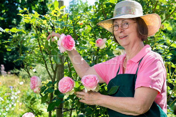 Happy middle aged gardener with eyeglasses and hat.  Stock photo © belahoche