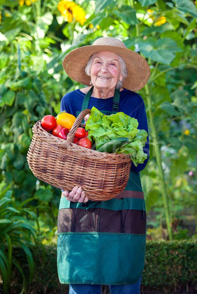 Old Woman with Basket of Vegetables at the Garden Stock photo © belahoche