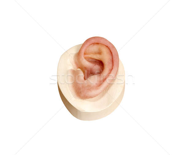 人造的 矽膠 人的 耳朵 磁 背後 商業照片 © belahoche