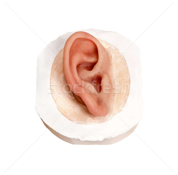 Emberi fül protézis izolált fehér gemkapocs Stock fotó © belahoche