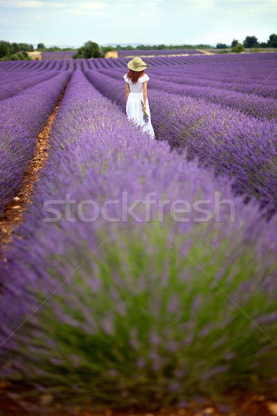 Fata frumoasa rochie de culoare alba mers camp lavanda tineri romantic Imagine de stoc © belahoche