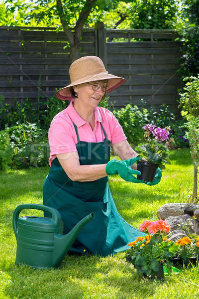 Woman admiring a potted plant Stock photo © belahoche