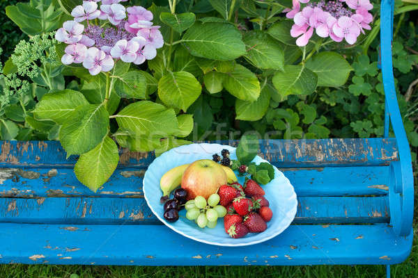 Friss gyümölcsök tányérok felső pad közelkép Stock fotó © belahoche