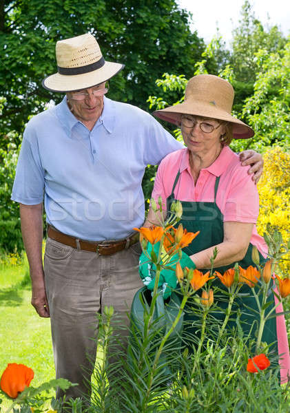 Senior Couple Watering Flowers Together in Garden Stock photo © belahoche