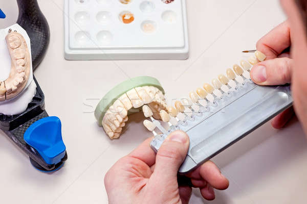 Artificial Teeth on White Table Stock photo © belahoche