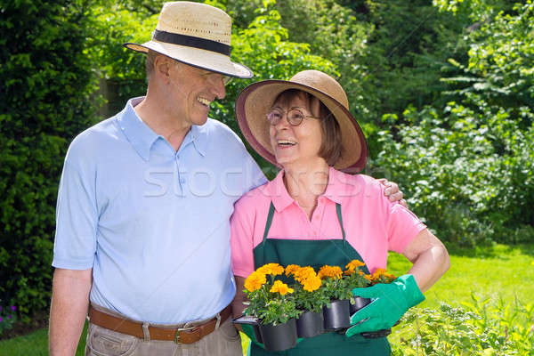 Happy Senior Couple in Garden with Flat of Flowers Stock photo © belahoche