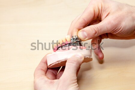 Holding Artificial Facial Dental on White Stock photo © belahoche